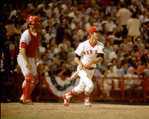 Carl Yastrzemski #136 Boston Red Sox Photo 8x10