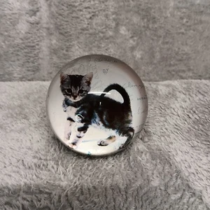 Cat Kitten Paperweight Domed Glass Felt Back 3 in Diameter Home Office Decor - Picture 1 of 6