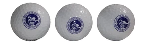 Hank Greenberg Memorial Einladungsgolfbälle - Bild 1 von 4