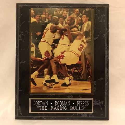 Chicago Bulls Plaque Jordan - Rodman - Pippen “The Raging Bulls” 10” x 8” Cover