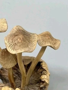 Antike Holzpilz Schnitzerei - Handgefertigt - Asien (ca. 30-40 Jahre alt) - Bild 1 von 6