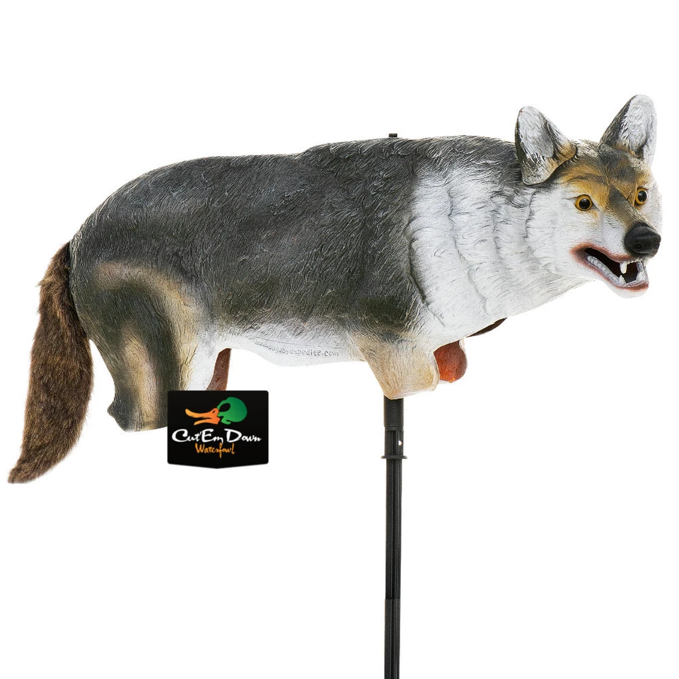 LUCKY DUCK YOTE COYOTE LIFE-SIZED DECOY - Image 1 of 1