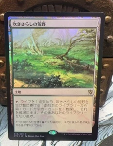 Foil Japanese Windswept Heath Khans Of Tarkir - Picture 1 of 3
