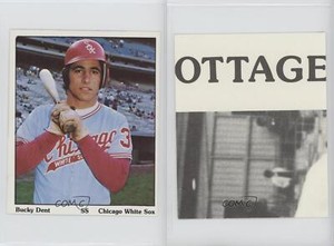 1975 SSPC Puzzle Back Bucky Dent