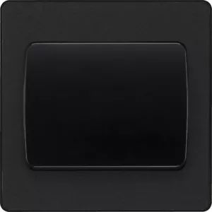 Interruptor ancho de 2 vías BG Evolve PCDMB12WB negro mate 1 marcha 20A 16AX - inserto negro - Imagen 1 de 1