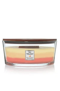 Woodwick Ellipse 11x19cm Soy Wax Scented Trilogy Candle - Tropical Sunrise - Foto 1 di 3