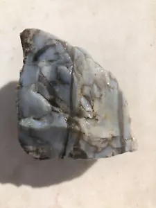 7.7 OZ MCELMO Petrified Wood Chunk Rough Lapidary Fossil Can Be Slabbed & Cabbed - Picture 1 of 20