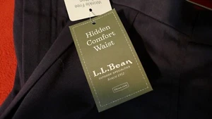 LL Bean Men's Wrinkle-Free Chinos, Hidden Comfort, Pleated 40 - Picture 1 of 8