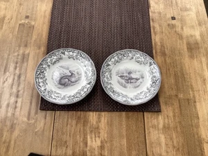 Spode Delamere Rural 2 x tea plates Rabbit and Duck design 6 inch - Picture 1 of 8