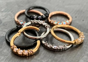 1 pieza Anillo de segmento con bisagras gemas de cinco piezas 16 g clicker de tabique 316L acero quirúrgico - Imagen 1 de 7
