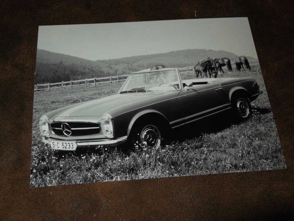 Photo de presse / Press Photograph  MERCEDES BENZ 250 SL  // Foto 1 de 1
