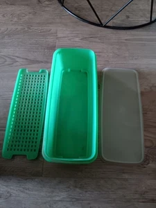 Juego de 3 piezas de tapa transparente Tupperware 782-2 jadeíta verde apio - Imagen 1 de 8