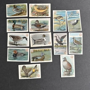 Lote De 14 Series 4 Tarjetas de Soda Martillo Brazo Iglesia Útiles Pájaros América Vaca 1924 - Imagen 1 de 12