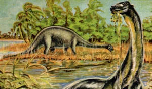 120/11 SAMMELBILD BRONTOSAURUS DINOSAURIER AMERIKA - rückseitig lesen - Bild 1 von 3