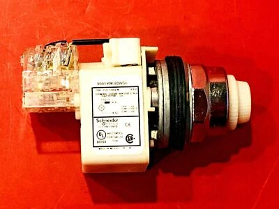 Luz de prueba piloto push-to-test Schneider Electric 9001KT38DWS6W31 135 VDC  Foto 1 de 4