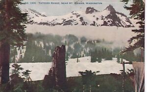 Vtg Main Coloré Photo Carte Postale Tatoosh Gamme Mt.Rainier Avec 1908 Franklin