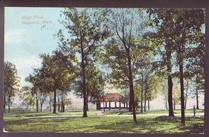 SAGINAW MICHIGAN MI ca 1910s Hoyt Park Vintage Postcard PC - Picture 1 of 2
