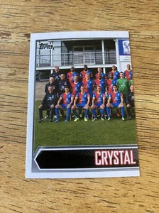 Topps Preimer League 2014 Stickers Crystal Palace Team Left #69 - Picture 1 of 1