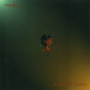 TIM STORY - IN ANOTHER COUNTRY CD 1995 - Imagen 1 de 4