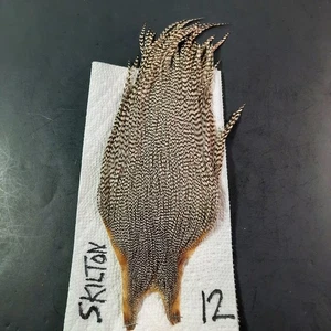 Grizzly Trockenfliegen Hechel Hals Cape Hahn Trockenfliegenbinden Federn #12 - Bild 1 von 6