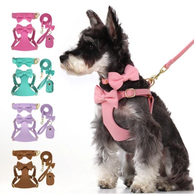 4pcs Dog Collar Harness Leash and Poop Bag Holder Set Puppy Vest Outdoor Walking - Image 1 of 4