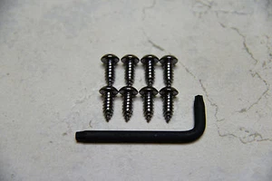 Anti-Theft *BLACK* Security Screws for DODGE RAM 1500 FRONT & REAR License Plate - Picture 1 of 5