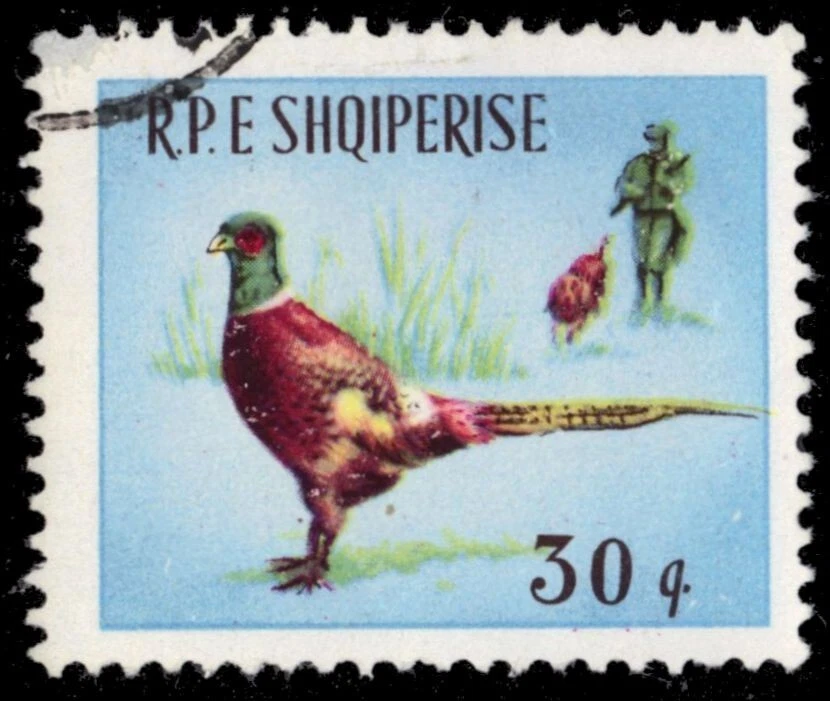 ALBANIA 858 - Hunting "Ring-necked Pheasant" (pb69150) Foto 1 de 1