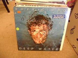 Gary Windo Deep Water vinyl LP 1988 Island Records EX - Picture 1 of 1