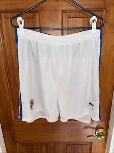 Puma 2008/09 Reading FC Home Shorts, Kit, Size XL, Extra Stock - Picture 1 of 3