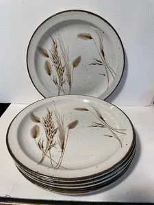 Stonehenge Midwinter Wild Oats Speiseteller - 6er Set - Bild 1 von 2