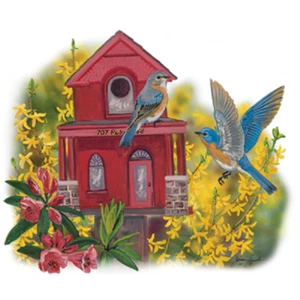 Ruby Road Blue Birds Tshirt Sizes/Colors - Picture 1 of 2