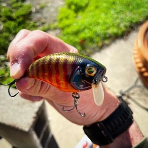 Custom Painted Squarebill  WAKEBAIT Juicy Bluegill - Picture 1 of 8