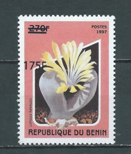 BENIN 2005-Mi 1379-ovp 175F /270F -LITHOPS FLOWER -OVERPRINT - MNH - Bild 1 von 1