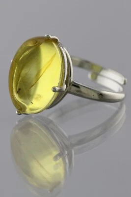 Anillo Ajustable Plata Ámbar Báltico Genuino Inclusión Insecto Fósil 191030-12 Foto 1 de 4