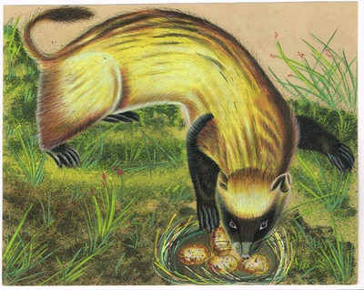 Pintura de arte animal de tejón hecha a mano bellas obras de arte en papel 8,5 x 6,75 pulgadas Foto 1 de 4