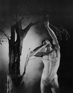 VTG George Platt Lynes Print Mythology Acamas And Phyllis Nude 1936 Mat 14x18 - Picture 1 of 2