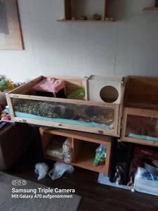 INDOOR ställe für Meerschweinchen - Bild 1 von 2