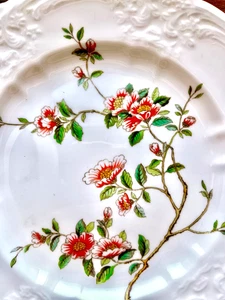 4x COALPORT Bone China Salatteller Aprikose SAMARKAND Floral Rised Rand 8,25" NEUWERTIG - Bild 1 von 8