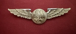 1970’s - 1980’s American Airlines Flight Attendant Wings Stewardess Pinback - Bild 1 von 8