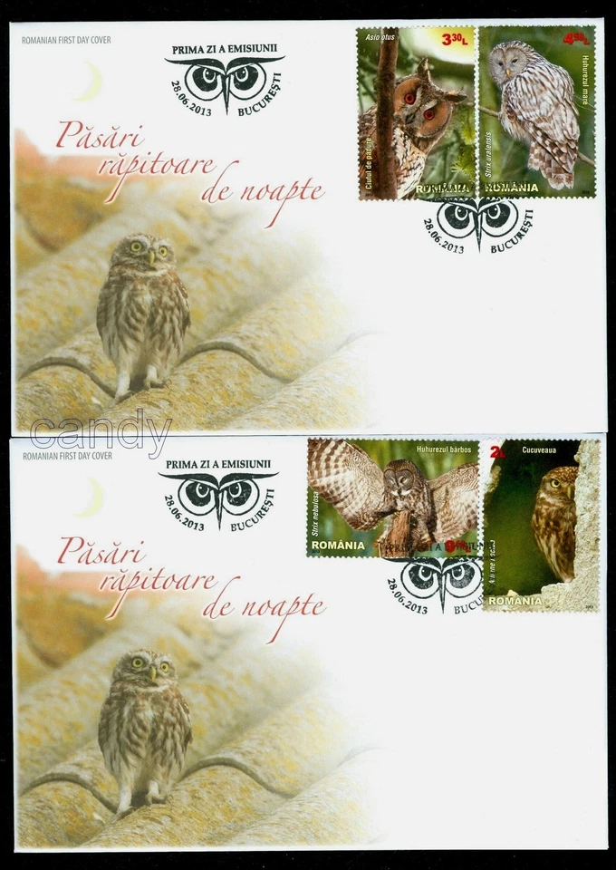 2013 Owls,Eulen,Chouettes,Buhos,Nocturnal Birds of Prey,Rapaces-Romania,6721,FDC - Image 1 of 1