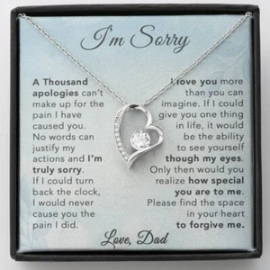 I'm Sorry Necklace Gifts, Apology Gifts For Her, Forgiveness Gift, Wife Gift - Picture 1 of 13