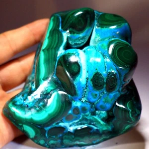 4,75 Zoll 3 Pfund Top lebendig Chrysocolla mit Malachit, Kongo! CR485 - Bild 1 von 6