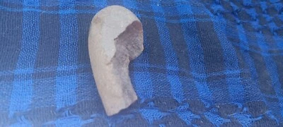   Herramientas rascadoras indias paleo nativas herramientas acanaladas para dedos  Foto 1 de 4