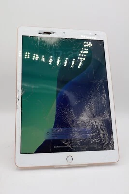Apple iPad 7. Gen 10,2 Zoll WiFi 32GB Rosé Gold A2197 Displayschaden / #4872 - Bild 1 von 4