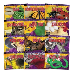 Creative Teaching Press Lifecycle Book Set - Picture 1 of 4