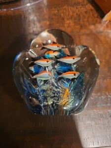 Big Art Glass Murano Style Two Sided Aquarium Fish & Coral Coastal Paperweight - Picture 1 of 12