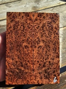 Juniper Burl Scales Stabilized By K&G #6 - Bild 1 von 2