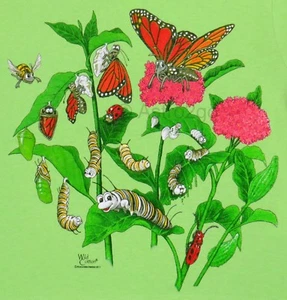 Camiseta MONARCH BUTTERFLY LIFECYCLE-Metamorfosis Bugs Ciencia Naturaleza Niños 4T XS - Imagen 1 de 4