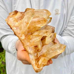 1.98LB Natural white crystal cluster quartz yellow cortical specimen Reiki Heali - Bild 1 von 12