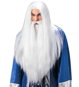 Mens Wizard Wig With Maxi Beard And Moustashe - Picture 1 of 1